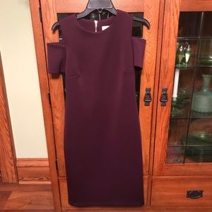 Size 6 Calvin Klein Sheath dress